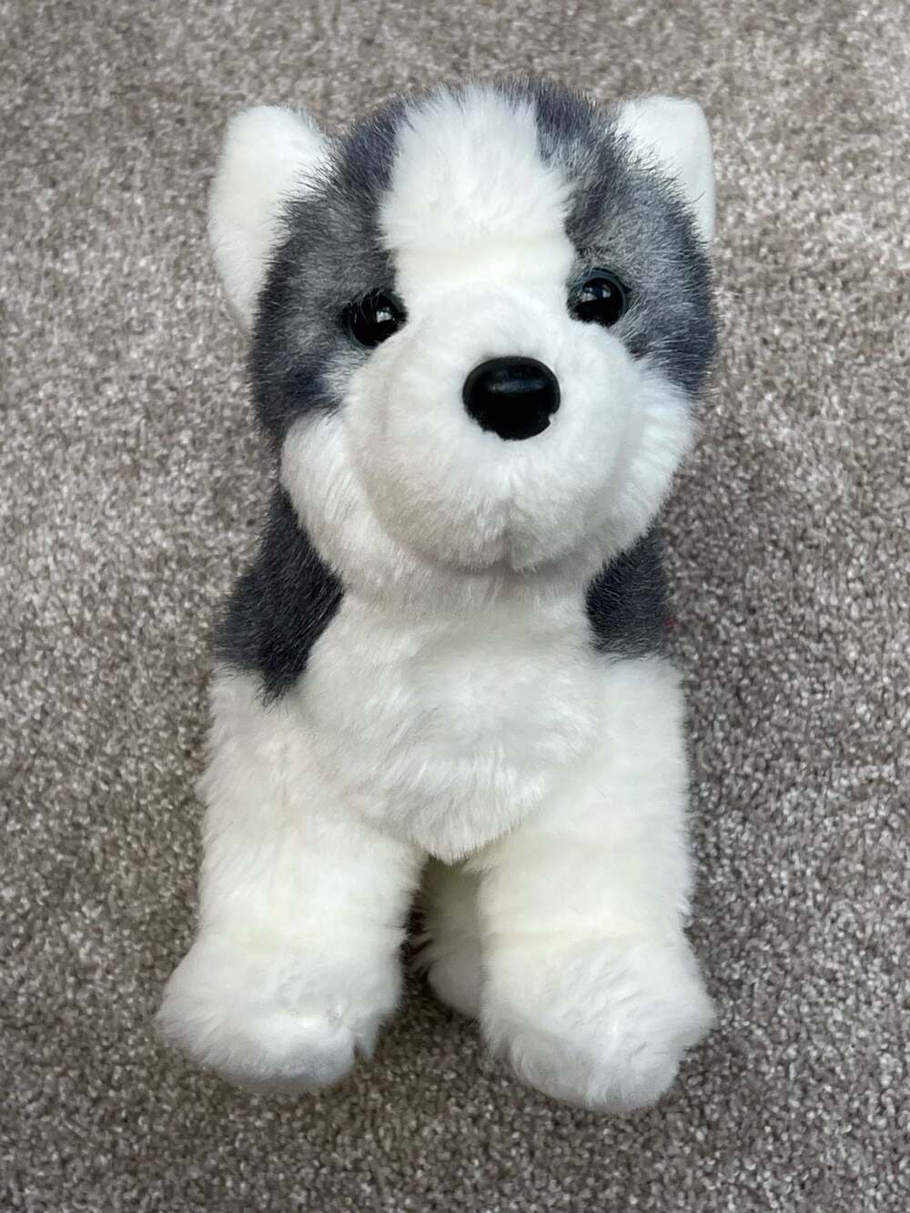Douglas Cuddle Toy Husky Dog Plush Item #1736